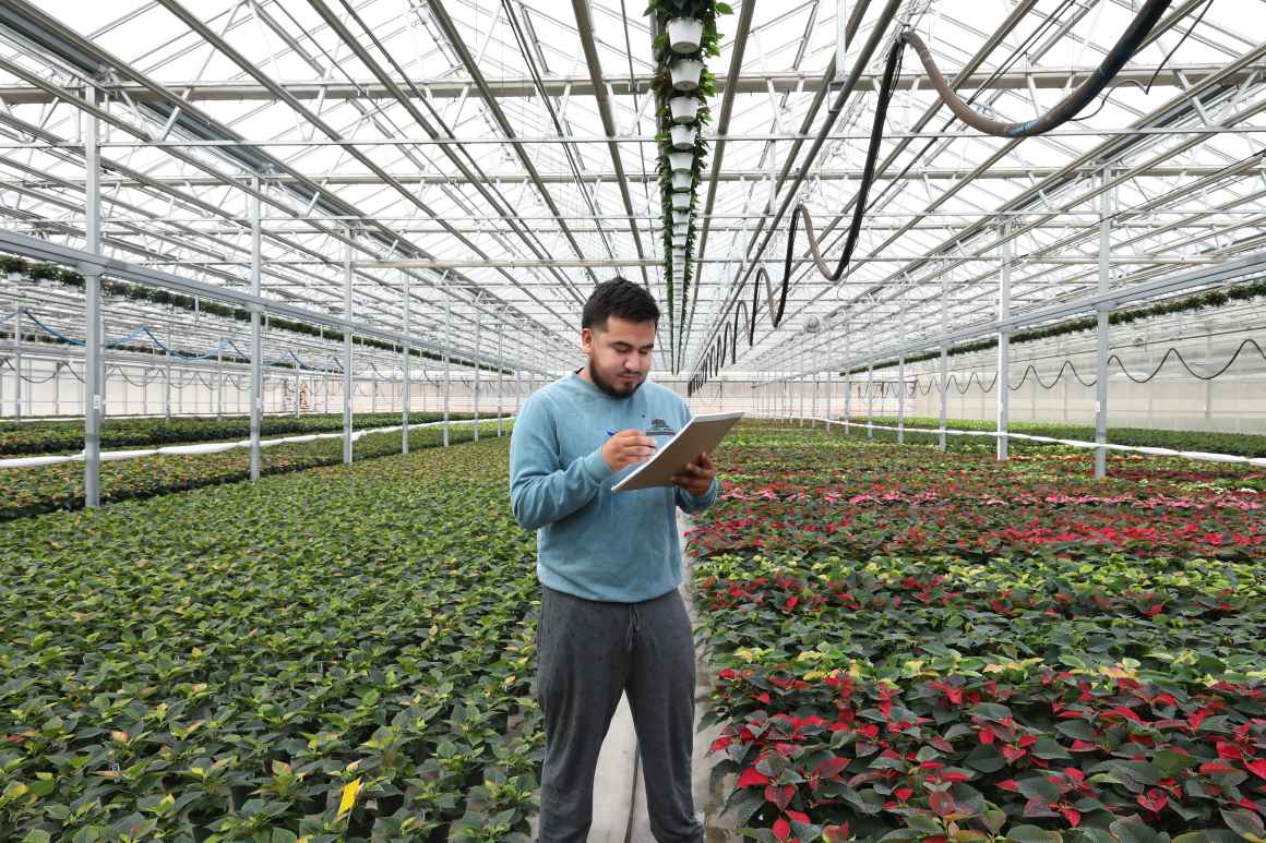 Man standing in greenhouse