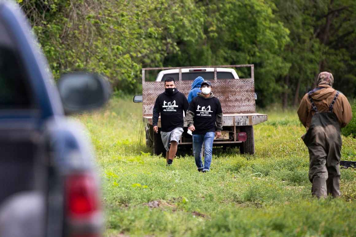 two men walking in field with truck in background