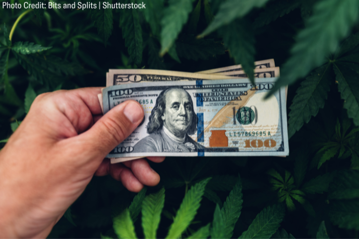 image of a hand holding $100 bills against a backdrop of cannabis leaves