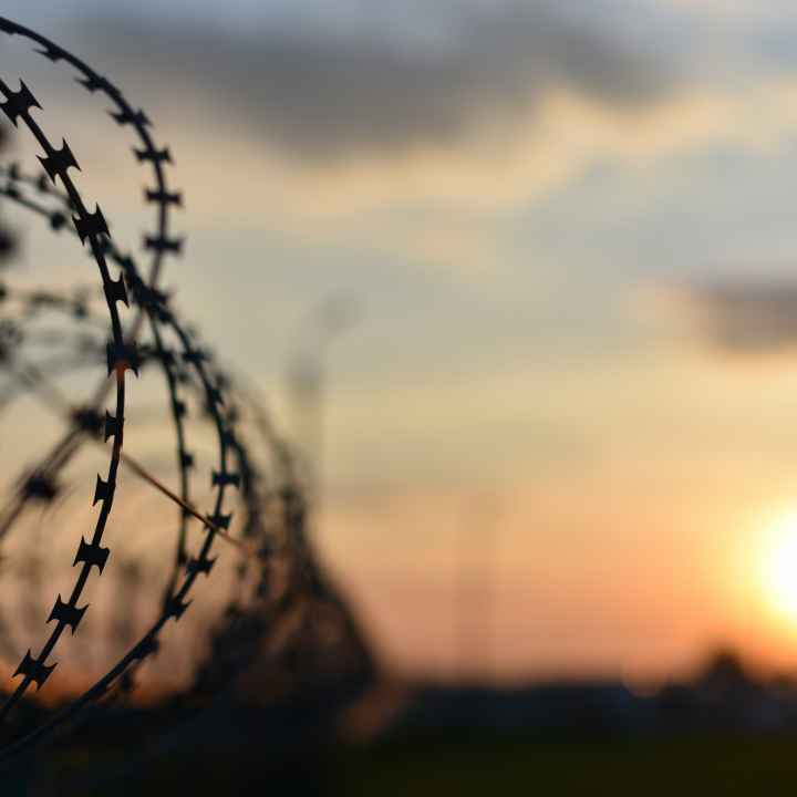 Barbed Wire + Sunset 