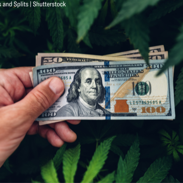 image of a hand holding $100 bills against a backdrop of cannabis leaves